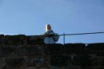 Neu_IMG_4106.jpg