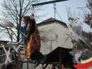 Neu_P1010020.jpg