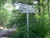 Neu_Hau-Ruck_MV_2005_Kammerforst_044.jpg
