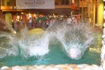 Neu_IMG_2690.jpg